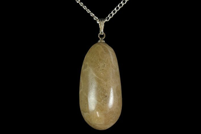 Polished Petoskey Stone (Fossil Coral) Necklace - Michigan #156171